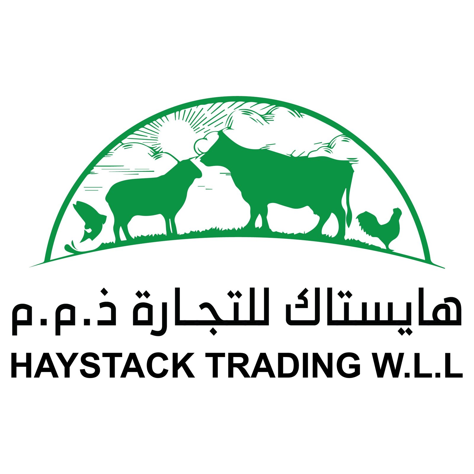 Haystack Trading-01